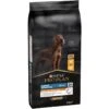 Adult Large Athletic Everyday Nutrition - Riche En Poulet 14kg - Pro Plan -Pedigree || Duvo Soldes adult large athletic everyday nutrition riche en poulet 14kg pro plan 12366979 purina adult large athletic everyday nutrition ri