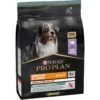 Adult Medium & Large Sensitive Digestion - Riche En Dinde 2,5kg - Pro Plan -Pedigree || Duvo Soldes adult medium large sensitive digestion riche en dinde 25kg pro plan 12384756 purina adult medium large sensitive digestion riche