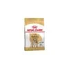 Bulldog Adult 3kg - Royal Canin