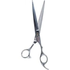 Ciseaux Professionnels De Tonte 20cm - Trixie