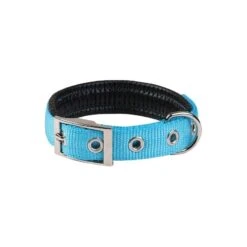 Collier Basic Confort Bleu 40mm 70cm - Wouapy