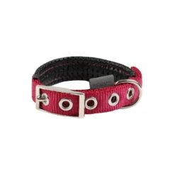 Collier Basic Confort Fushia 40mm 70cm - Wouapy