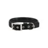 Collier Basic Confort Noir 40mm 70cm - Wouapy -Pedigree || Duvo Soldes collier basic confort noir 40mm 70cm wouapy 312533000 wouapy collier basic confort noir 40mm 70cm wouapy