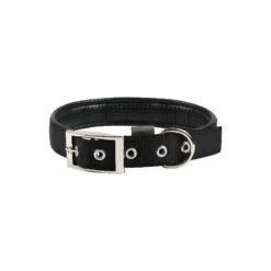 Collier Basic Confort Noir 40mm 70cm - Wouapy