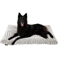 Coussin Snakeskin XS 58x45cm - Jack And Vanilla -Pedigree || Duvo Soldes coussin snakeskin xs 58x45cm jack and vanilla 41 0484 jack and vanilla 2