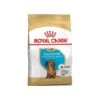 Dachshund Puppy 1,5kg - Royal Canin -Pedigree || Duvo Soldes dachshund puppy 15kg royal canin 1239065 royal canin aliment complet pour chiot teckel jusqua 10 mois specialement concu pour re