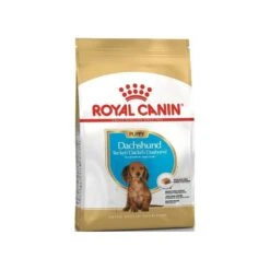 Dachshund Puppy 1,5kg - Royal Canin