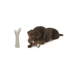 Deerhorni Avec Du Bois De Cerf L 20cm - Petstages