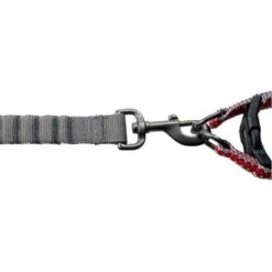 Flashlight Harnais Avec Laisse M-120x45-55cm/19mm - Duvo+ -Pedigree || Duvo Soldes flashlight harnais avec laisse m 120x45 55cm 19mm duvo 11806 duvo specifications lumiere led 3 options sur la poitrine laisse qu 2