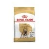 French Bulldog Adult 3kg - Royal Canin -Pedigree || Duvo Soldes french bulldog adult 3kg royal canin 1238070 royal canin aliment complet pour chiens specialement pour bouledogue francais adult