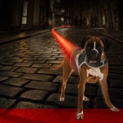 Gilet De Sécurité Fluo Flash USB Noir Large - Duvo+ -Pedigree || Duvo Soldes gilet de securite fluo flash usb noir large duvo 11301 duvo specifications reflechissant et lumineux facile a mettre grace au ve 1