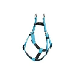 Harnais Basic Confort Bleu 25mm 75/96cm - Wouapy