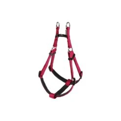 Harnais Basic Confort Fushia 40mm 96/120cm - Wouapy