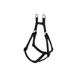 Harnais Basic Confort Noir 40mm 96/120cm - Wouapy
