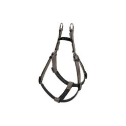 Harnais Basic Confort Taupe 40mm 96/120cm - Wouapy