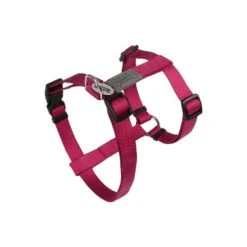 Harnais Basic Line Fushia 25mm 63/97cm - Wouapy