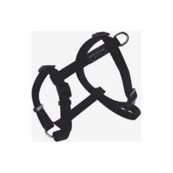 Harnais Basic Line Noir 40mm 74/117cm - Wouapy