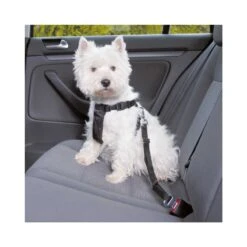 Harnais Pour Voiture M 50-70cm/25mm Noir - Trixie -Pedigree || Duvo Soldes harnais pour voiture m 50 70cm 25mm noir trixie 1291 trixie harnais pour voiture laisse bande utilisable aussi comme harnais de 1 2