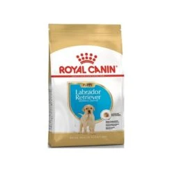 Labrador Retriever Puppy 12kg - Royal Canin