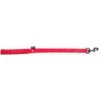 Laisse Nylon Double 25mm-60cm Rouge - Martin Sellier -Pedigree || Duvo Soldes laisse nylon double 25mm 60cm rouge martin sellier ms121271 martin sellier