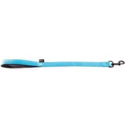 Laisse Nylon Double 25mm-60cm Turquoise - Martin Sellier