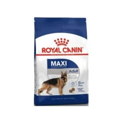 Maxi Adult 4kg - Royal Canin