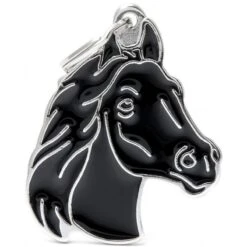 Médaille Cheval Noir