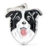 Médaille Chien Border Collie -Pedigree || Duvo Soldes medaille chien border collie mf03n my family