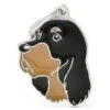 Médaille Chien Setter Gordon -Pedigree || Duvo Soldes medaille chien setter gordon mf102 my family