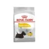 Mini DermaComfort 1kg - Royal Canin -Pedigree || Duvo Soldes mini dermacomfort 1kg royal canin 1230076 royal canin aliment complet pour chiens adultes et matures de petites races de 1 a 10