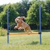 Obstacle Agility 123x115cm - Trixie -Pedigree || Duvo Soldes obstacle agility 123x115cm trixie 3207 trixie hauteur reglable en continu la barre peut aussi etre posee librement sur les potea