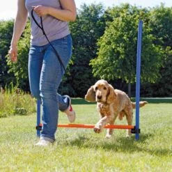 Obstacle Agility 123x115cm - Trixie -Pedigree || Duvo Soldes obstacle agility 123x115cm trixie 3207 trixie hauteur reglable en continu la barre peut aussi etre posee librement sur les potea 2