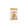Pomeranian 1,5kg - Royal Canin -Pedigree || Duvo Soldes pomeranian 15kg royal canin 1238108 royal canin aliment complet pour spitz nain adulte 12 moispetit tout doux et sur de lui le s