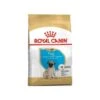 Pug Puppy 1,5kg - Royal Canin -Pedigree || Duvo Soldes pug puppy 15kg royal canin 1238054 royal canin aliment complet pour chiens specialement pour chiot carlin de 2 a 10 mois royal c