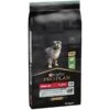 Puppy Medium Sensitive Digestion - Riche En Agneau 12kg - Pro Plan -Pedigree || Duvo Soldes puppy medium sensitive digestion riche en agneau 12kg pro plan 12366981 purina optidigest puppy sensitive digestion riche en agn
