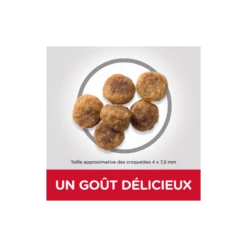 Science Plan Aliment Pour Chien Adulte Small & Mini à L'agneau Et Au Riz 6kg - Hill's -Pedigree || Duvo Soldes science plan aliment pour chien adulte small mini a lagneau et au riz 6kg hills 604319 hills science plan aliment pour chien adu 1