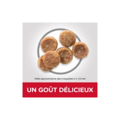 Science Plan Aliment Pour Chien Adulte Small & Mini Au Poulet 6kg - Hill's -Pedigree || Duvo Soldes science plan aliment pour chien adulte small mini au poulet 6kg hills 604233 hills science plan aliment pour chien adulte small 1 1