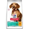 Science Plan Aliment Pour Chien Adulte Small & Mini Perfect Weight Au Poulet 6kg - Hill's -Pedigree || Duvo Soldes science plan aliment pour chien adulte small mini perfect weight au poulet 6kg hills 604257 hills science plan aliment pour chie