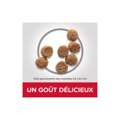 Science Plan Aliment Pour Chiot Small & Mini Au Poulet 3kg - Hill's -Pedigree || Duvo Soldes science plan aliment pour chiot small mini au poulet 3kg hills 604345 hills hills science plan aliment pour chiot small mini au 1 1