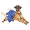 Serviette De Bain Pour Chien Microfibre 100x70cm - Duvo+ -Pedigree || Duvo Soldes serviette de bain pour chien microfibre 100x70cm duvo 311166 duvo specifications essuie en microfibres absorption elevee supprim