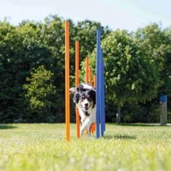 Slalom Agility 3x115cm - Trixie -Pedigree || Duvo Soldes slalom agility 3x115cm trixie 3206 trixie slalom agility multiples options de construction compose de 12 barres corde reglable a 1