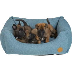 Sofa Hampton Pétrol L 117x82x28cm - Jack And Vanilla -Pedigree || Duvo Soldes sofa hampton petrol l 117x82x28cm jack and vanilla hamso5530 jack and vanilla sofa orthopedique hampton petrol l 117x82x28cm jac 1