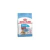 Starter Mother & Babydog Medium 4kg - Royal Canin