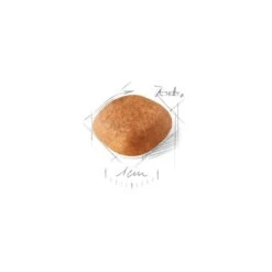 West Highland White Terrier Adult 3kg - Royal Canin