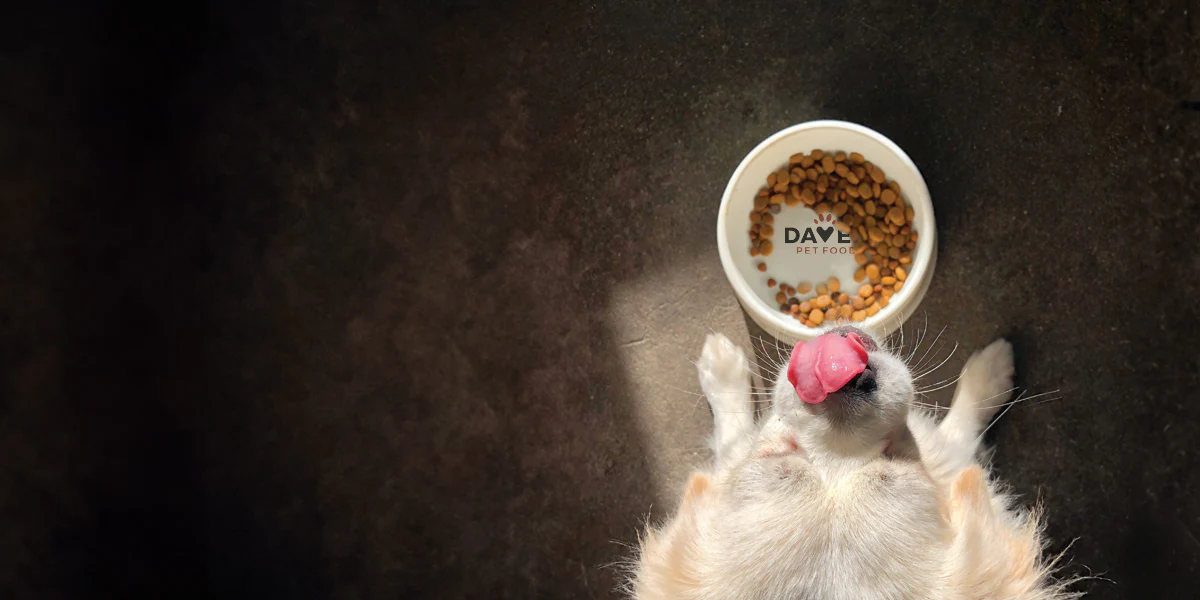 Pedigree || Duvo Soldes -Pedigree || Duvo Soldes Home food pic1 large a0a87672 ae08 4a19 95f3 772641ac3260